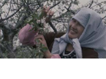 China - Zhang Zhao Su