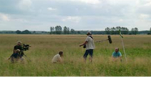 Professor Randolf Menzel