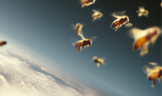 Bienen in Flug. Ein Bild aus dem Film More Than Honey.